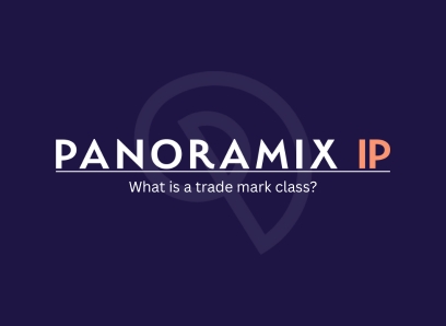 What is a Trade Mark Class?